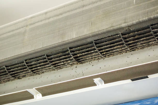 Best Emergency Air Duct Cleaning  in West Berlin, NJ